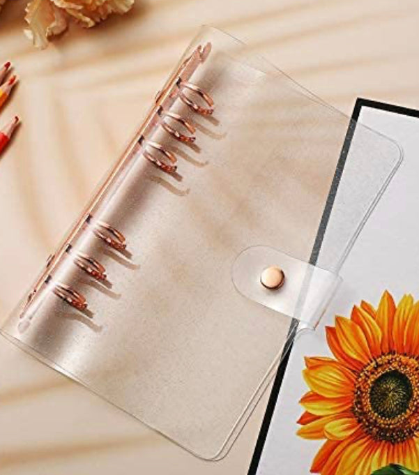 Savings Challenge Binder Set
