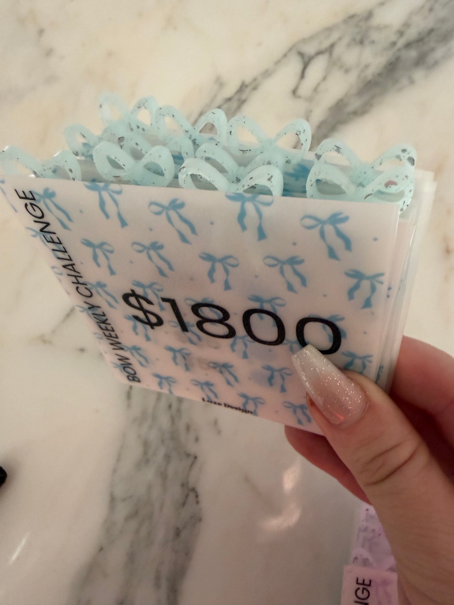 1800 Bow  Acrylic Vellum Savings Box