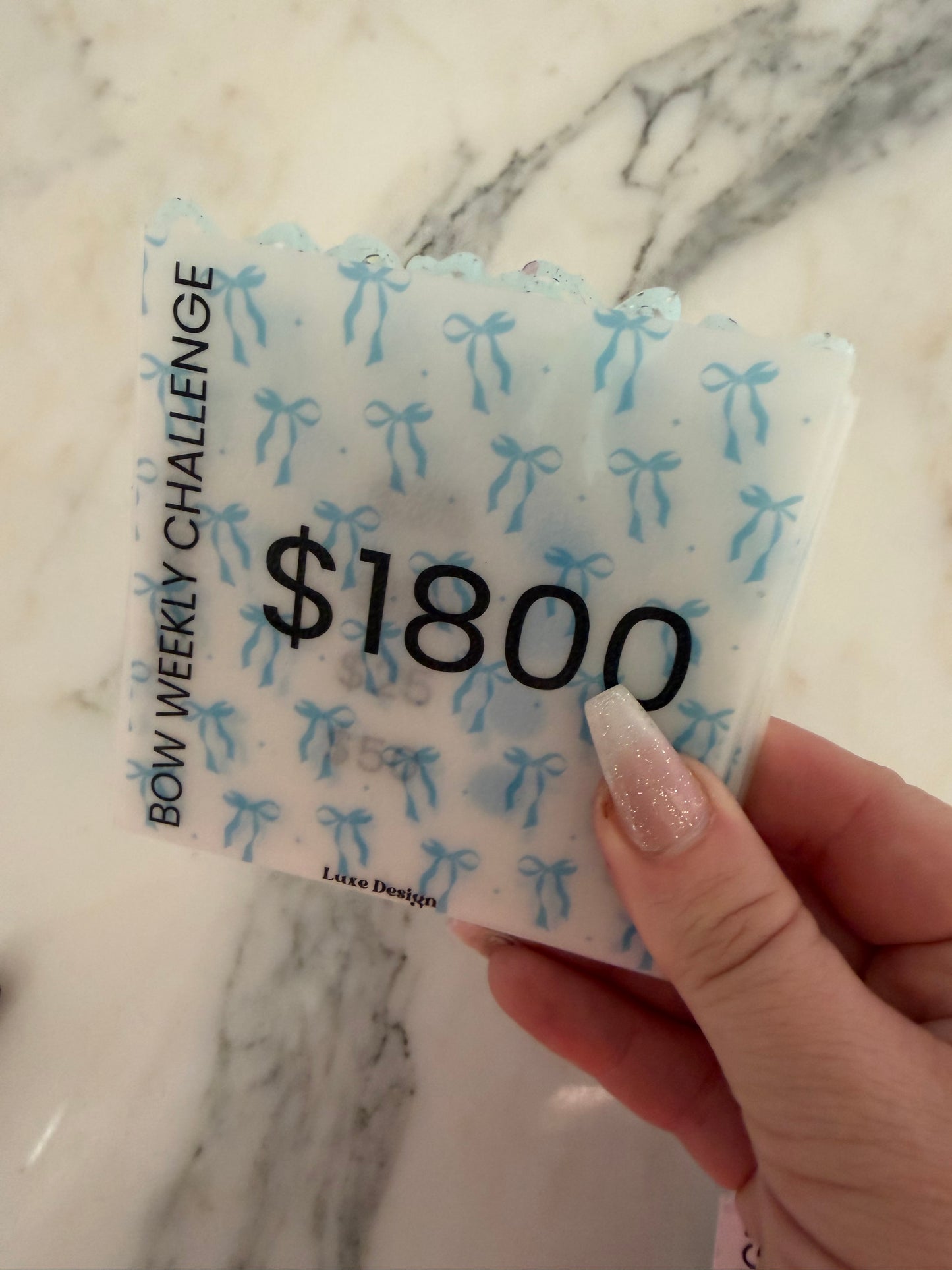 1800 Bow  Acrylic Vellum Savings Box