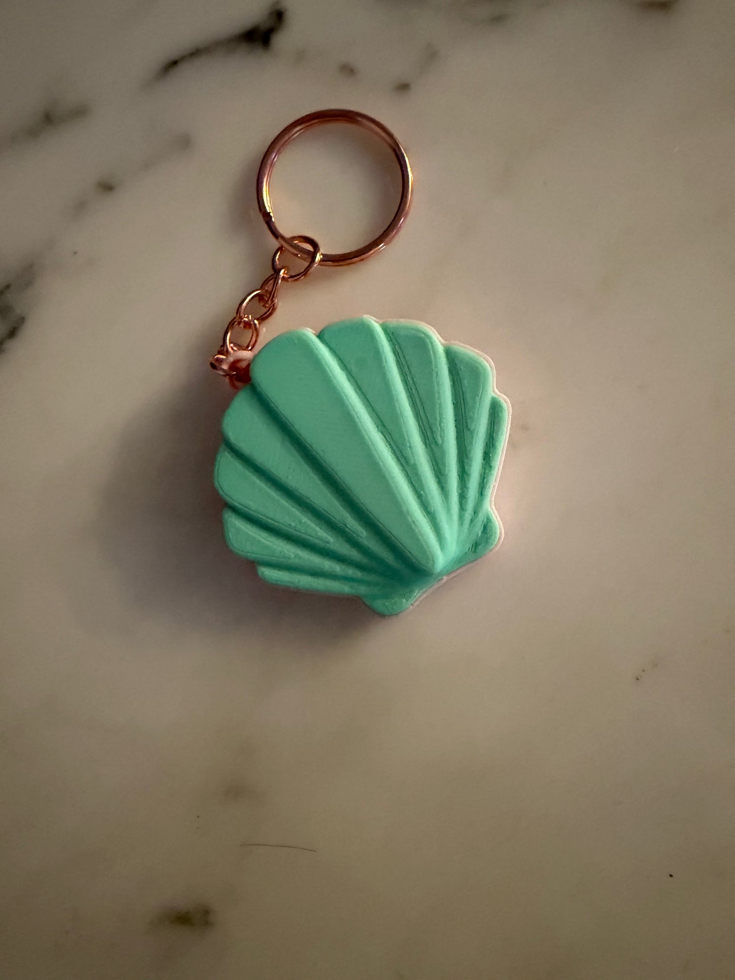 Sea shell can opener